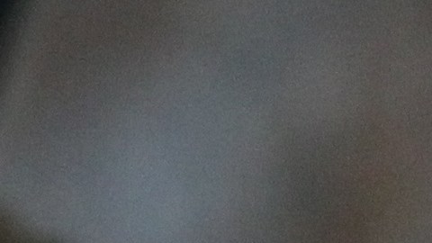 Este es el trofeo que le robaron al futbolista blanquiazul, el cual obtuvo tras vencer a Tigres en la final de la Liga de Campeones de Concacaf 2019.