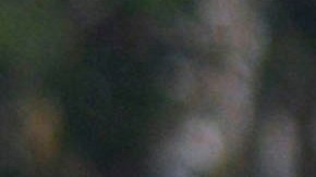 El equipo sub 17 del América no pudo calificar a la liguilla en este torneo.