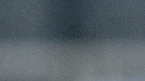 Cerró el año con una efectividad del 90%, al ganar 15 de los 17 partidos que dirigió.