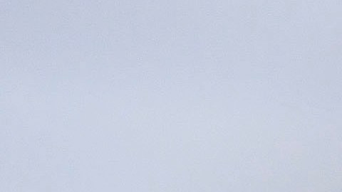 Nico no ha logrado ser protagonista con el América.