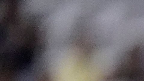 Morelia vs. América, una semifinal muy cerrada.
