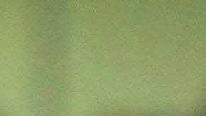 Josecarlos Van Rankin es uno de los jugadores que no entran en los planes de Chivas para el Clausura 2020.