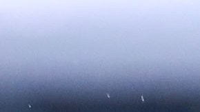 Alondra González dejará a las Águilas.