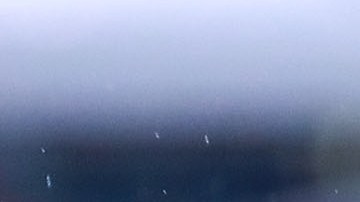 Alondra González dejará a las Águilas.