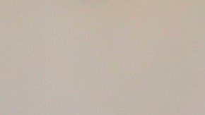 Reyna era el último mexicano en ganar el título de goleo.