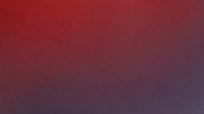 El mensaje recibió muchas muestras de apoyo.