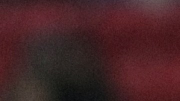 Alan Pulido agradeció a su ex equipo y a la afición rojiblanca.