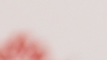 Ricardo Peláez es el nuevo presidente deportivo de las Chivas.