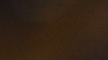 El francés llegó a Tigres en 2015.