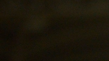 Janssen no pudo disputar el Mundial de Clubes.