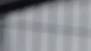 La afición del América mostrando siempre su compromiso.