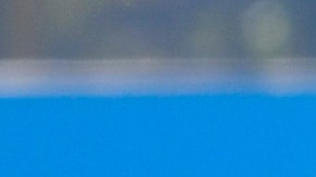 Nicolás Benedetti, en duda para la gran final.