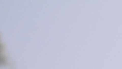 En Coapa ya se respira la Navidad.