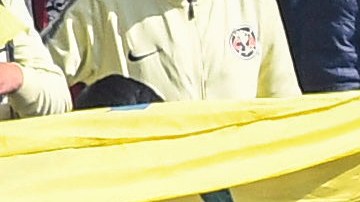 La afición del América, una de las más fieles de México.