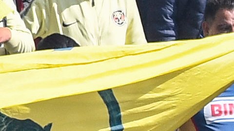 La afición del América, una de las más fieles de México.