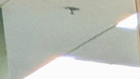 Reina Rocha y Eusebio Morales junto a seis de sus nueve hijos listos para recibir los regalos de Santa Claus. (Jacqueline García/La Opinión)