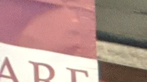 Herbert Butler y Nicole Farley participarán en la carroza da AHF en el desfile de las rosas 2020. (Jacqueline García/La Opinión)