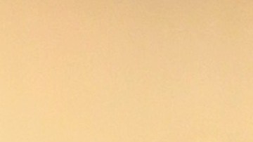 Rosa Ojeda, (azul) con la delegación que buscó el apoyo del presidente de la universidad el lunes para que Unite Here Local 11 y Sodexo lleguen a un acuerdo. (Suministrada)