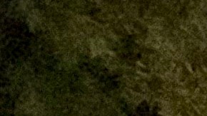 Un grupo de inmigrantes realizaron una posada dedicada al Censo 2020. (Araceli Martínez/La Opinión).