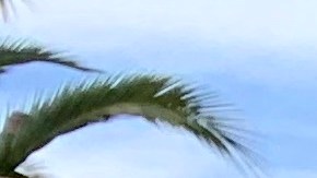 Xiomara Galicia comienza el año con su residencia de EE UU y su nueva casa. (Araceli Martínez/La Opinión).