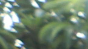 Los Hernández buscan una mejor vida para sus pequeños Gianna  (d) y Jacob (i). / fotos: Jorge Luis Macías.