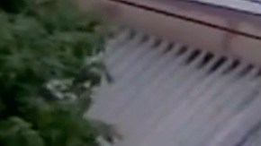 Los bomberos están investigando las causas del incendio.