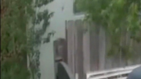 La policía está pidiendo la colaboración de los vecinos para encontrar al ladrón