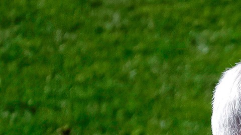 El ‘Vasco’ Aguirre consiguió su tercer triunfo al frente del Leganés.