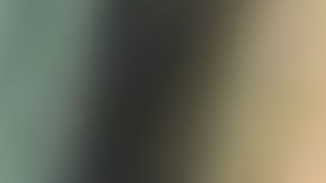 Jing Lu permanece en la cárcel del condado de Palm Beach.