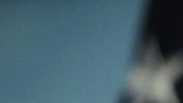 John Perry apoya la candidatura de Joe Biden.