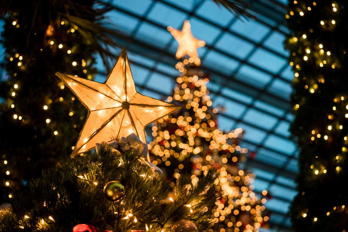 6 modelos de árboles de Navidad con luces integradas por menos de $400 - La  Opinión