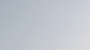 Cada familia recibirá $7 millones de dólares.