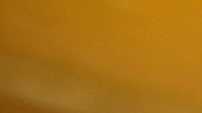 Los judíos estadounidenses se sienten inseguros, según estudios.