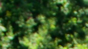 La-sagrada-familia-Javier-Sierra-scaled