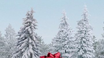 Lexus lleva 20 años llevando a cabo su campaña de "December remember"