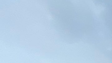 La policía mantuvo cerrada la calle, una de las más transitadas de Miami Beach, durante varias horas.