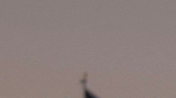 Luis Fonsi y su familia celebrando en Disney World