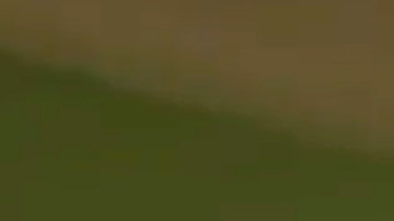 Luz Apolinario no encuentra consuelo tras la trágica muerte de su hijo, un conductor de UPS, en una balacera al norte de Miami.