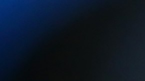 Mark van Bommel duró 18 meses en el cargo.