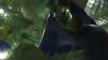 La Primera Dama compartió un video en su cuenta de Twitter.