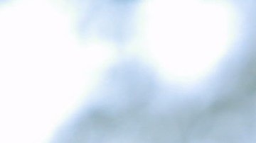 Agustín Marchesín cosechó un éxito más en la Liga Nos.