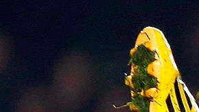 En España e Italia las actividades reinician este fin de semana.