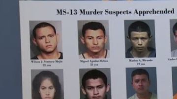 Once sospechosos fueron arrestados