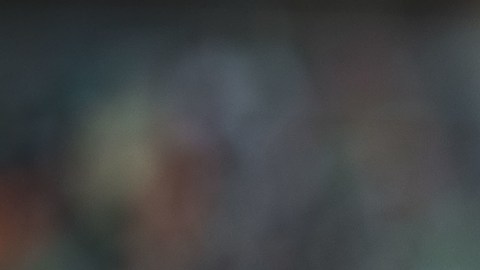 Javier Hernández no será refuerzo de Chivas para el Clausura 2019.