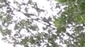 Los niños se encontraron con una grata sorpresa cuando acudieron a las oficinas del ICE en Miami: el Circulo de Protección de Miramar les entregó sus regalos de Navidad.