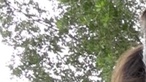 Los niños se encontraron con una grata sorpresa cuando acudieron a las oficinas del ICE en Miami: el Circulo de Protección de Miramar les entregó sus regalos de Navidad.