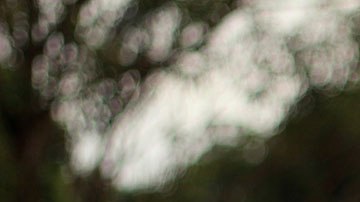 La mujer se había salido con la suya la primera vez, pero su ambición terminó hundiéndola.