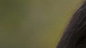 Nury Martinez se convierte en la primera presidenta latina del Concejo de LA.