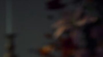 Obispo Richard Malone