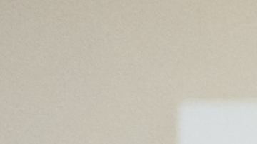 Que el aroma de tu mascota no invada tu hogar.